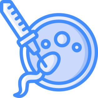 آی وی اف (IVF)